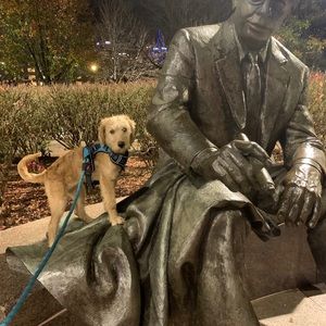 Meet your Posher, Patrick